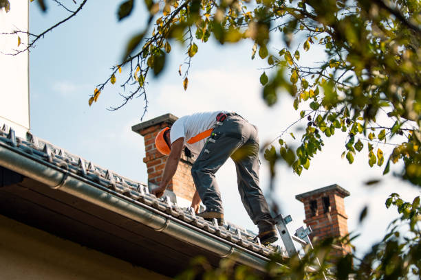 Roof Gutter Cleaning in Ashley, OH